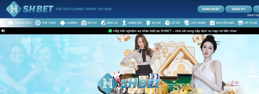 Live Casino Shbet là gì?